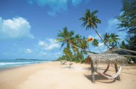 Napříč Srí Lankou s relaxem na východním pobřeží ostrova - Srí Lanka